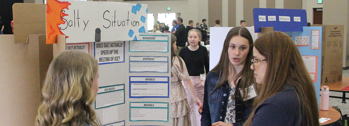 STEM Science and Engineering Fair students discuss a project.